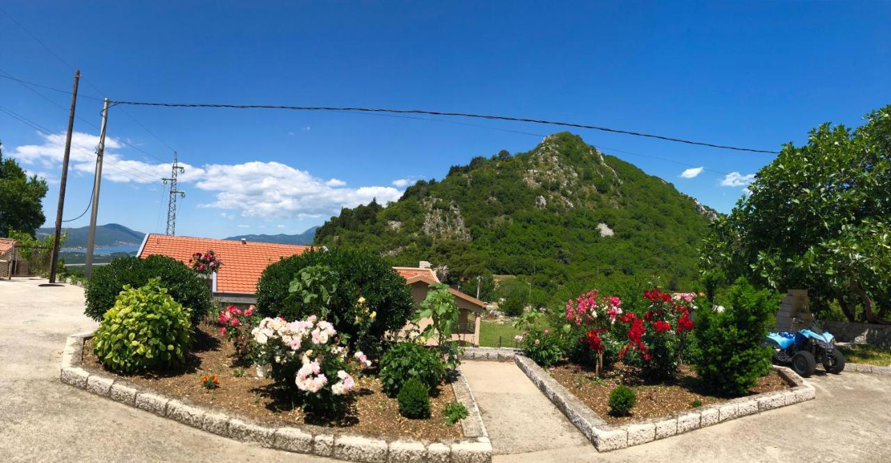 Albomi Διαμέρισμα Κότορ Εξωτερικό φωτογραφία